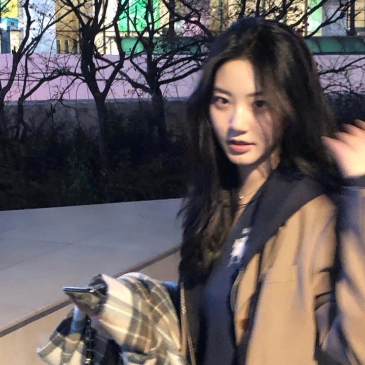 圣路易斯的骄傲